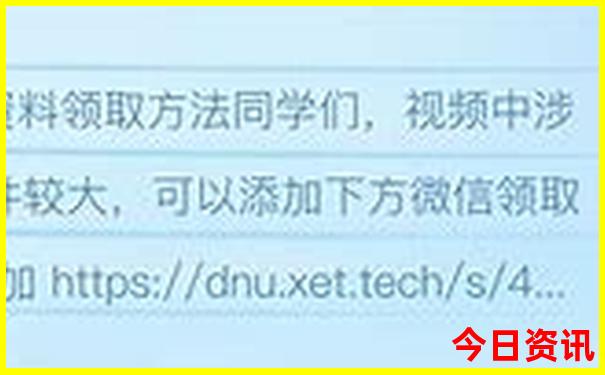 八月中旬去哪里玩最好